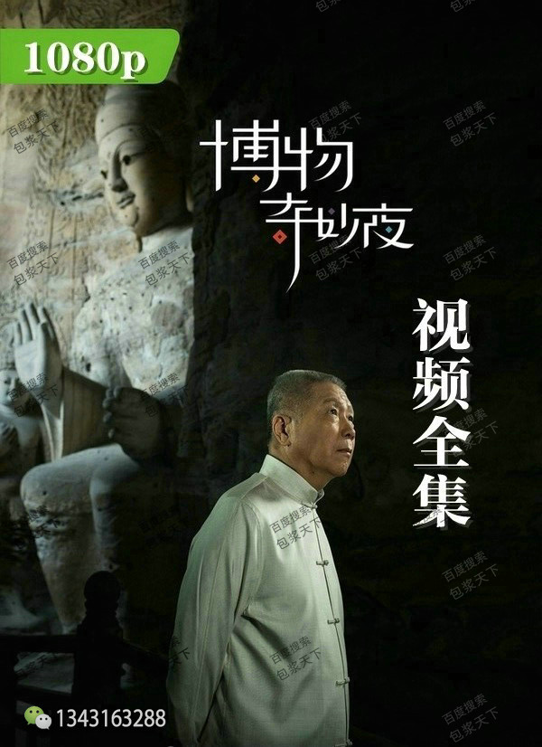 马未都《博物奇妙夜》视频全集1080p高清